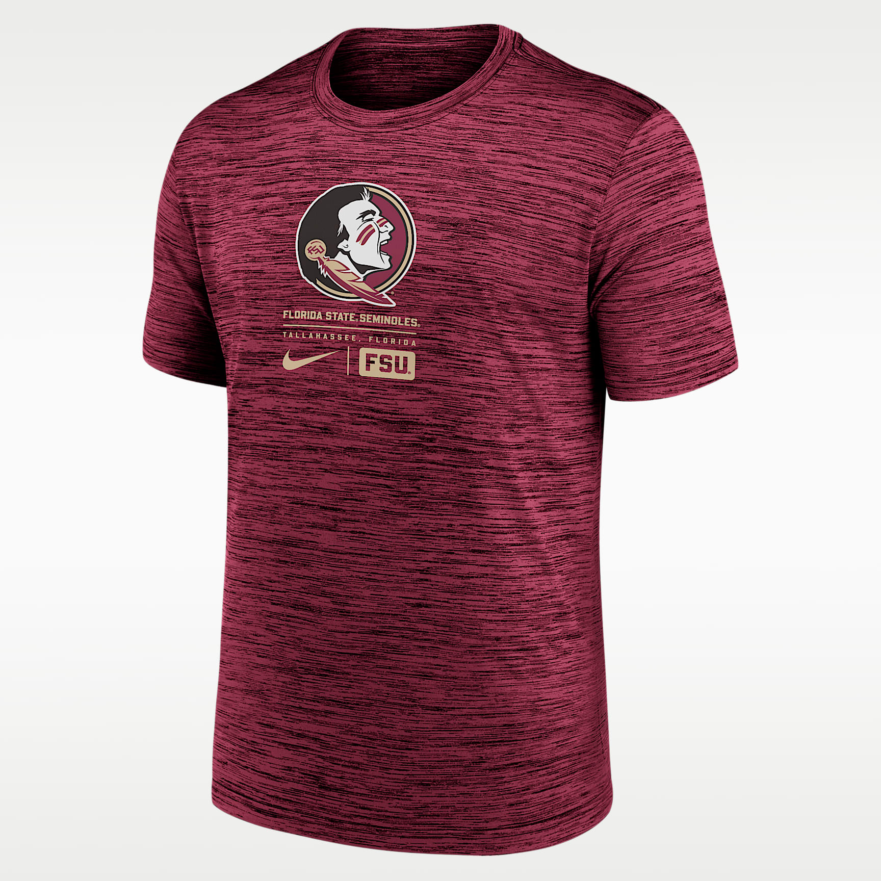 ★アメリカ軍＊第１０ＳＦ＊トロイの木馬スポーツパラシュートクラブ徽章（実物） Florida State Seminoles Campus Center Block Velocity Men's Nike